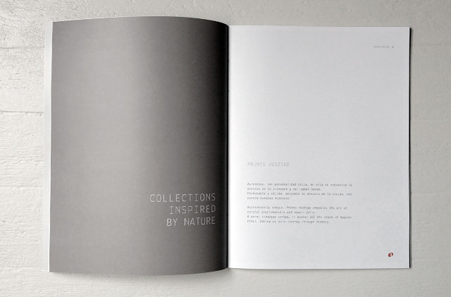 Diseño portadillas minimilastas