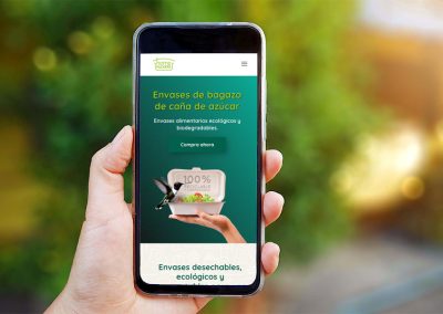 Diseño página web tienda envases ecológicos