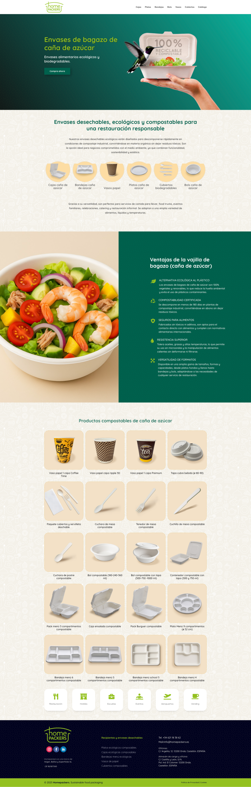 diseño de página web